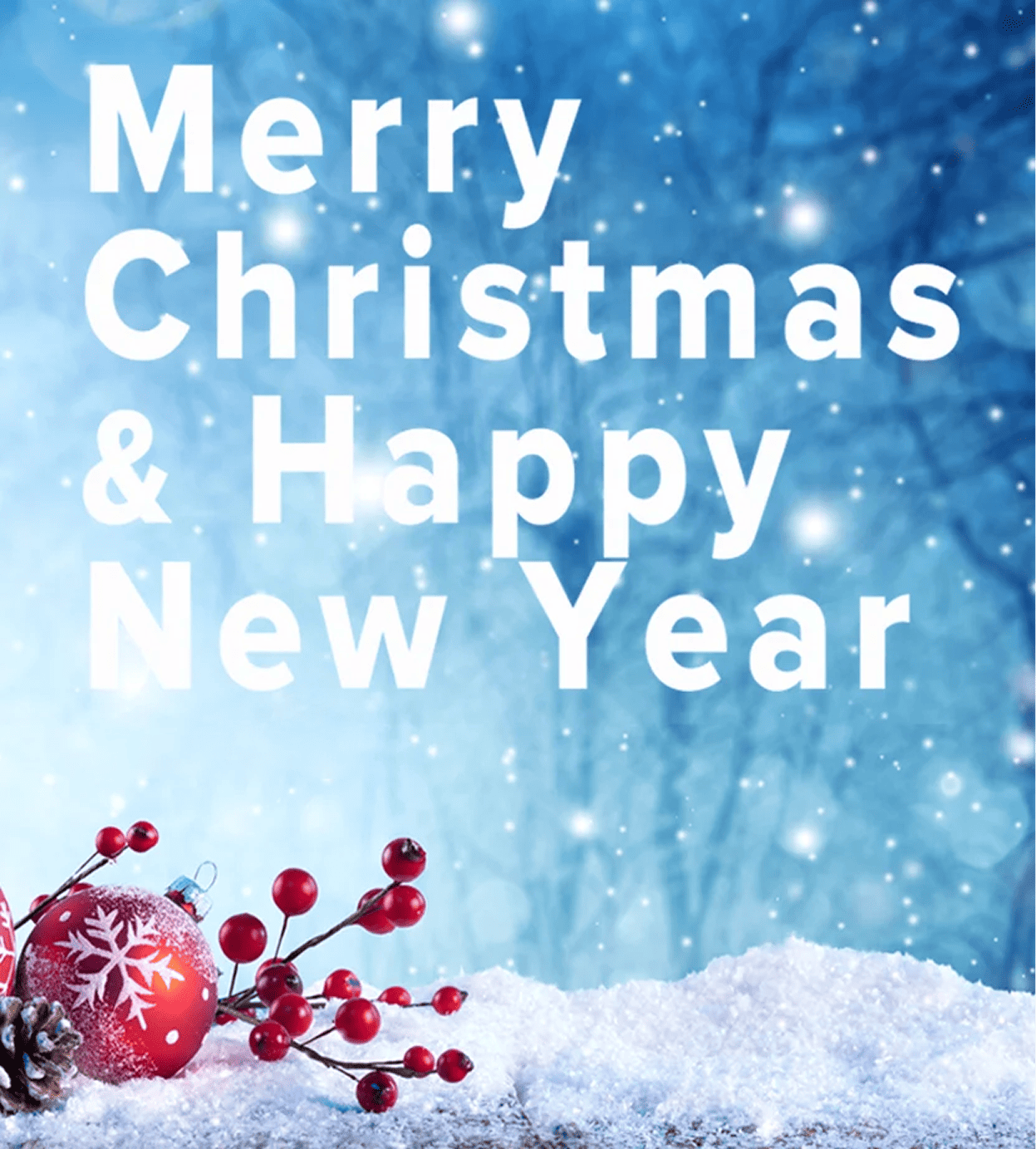 Merry Christmas and Happy New Year 2019!